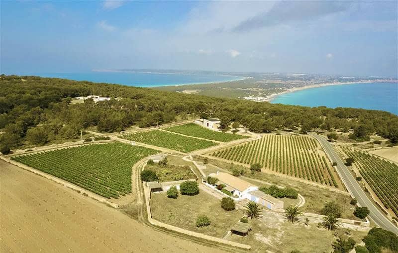 Aerial view of Terramoll Winery in La Mola, Formentera