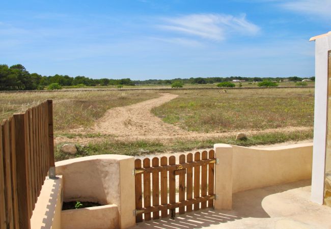 Bungalow in Playa de Migjorn - Casa Can Pep, Formentera - Bungalow mit 1 Schlafzimmer