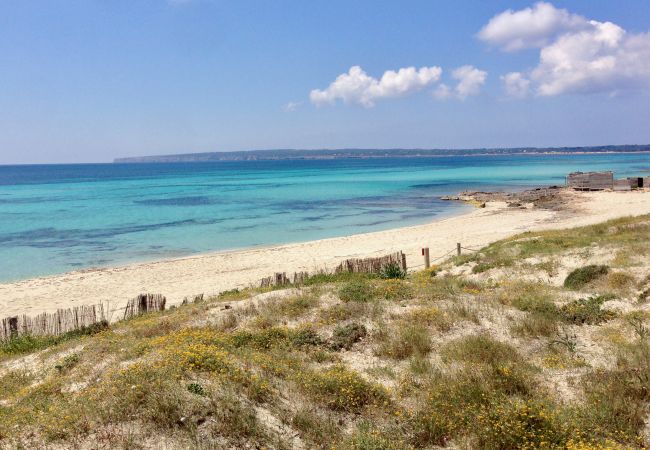 Bungalow in Playa de Migjorn - Casa Can Pep, Formentera - Bungalow mit 1 Schlafzimmer