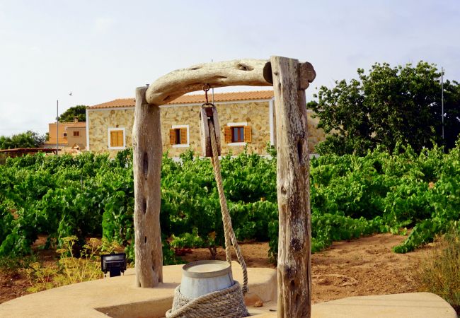 Bungalow in Playa de Migjorn - Casa Can Pep, Formentera - Bungalow mit 1 Schlafzimmer